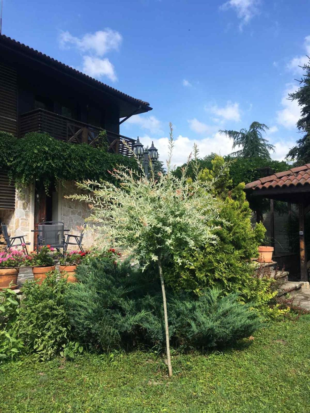 Eco Residence Рибариця Екстер'єр фото